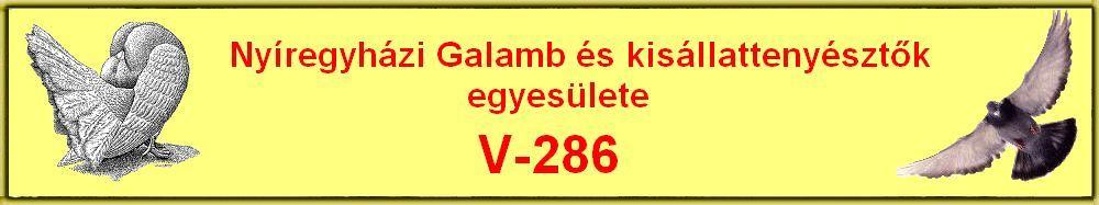 Nyregyhzi V-286 -os Galamb s kisllattenysztk egyeslete